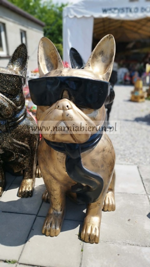 Figurka z żywicy Pies Buldog w okularach francuski GIGANT srebrny 120 cm