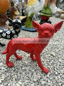 Figurka z żywicy Pies Chihuahua czerwony biały czarny 35cm