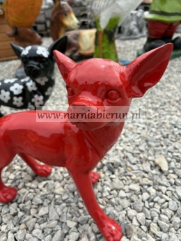 Figurka z żywicy Pies Chihuahua czerwony biały czarny 35cm