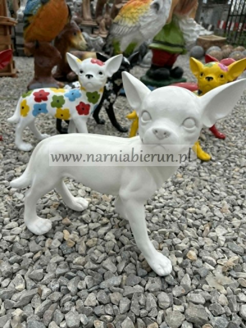 Figurka z żywicy Pies Chihuahua czerwony biały czarny 35cm