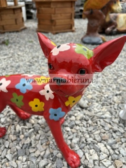 Figurka z żywicy Pies Chihuahua w kwiatki kwiaty żółty biały czerwony czarny 35cm