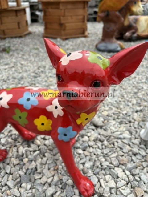 Figurka z żywicy Pies Chihuahua w kwiatki kwiaty żółty biały czerwony czarny 35cm