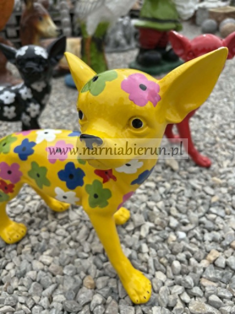 Figurka z żywicy Pies Chihuahua w kwiatki kwiaty żółty biały czerwony czarny 35cm