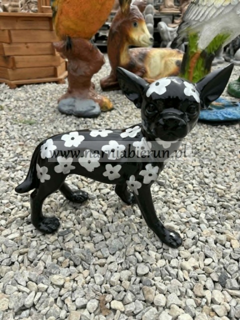 Figurka z żywicy Pies Chihuahua w kwiatki kwiaty żółty biały czerwony czarny 35cm