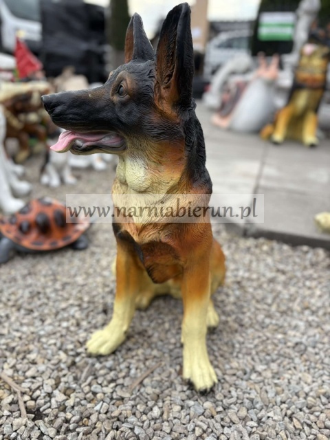 Figurka z żywicy Pies Owczarek niemiecki siedzący Wilczur 68 cm.