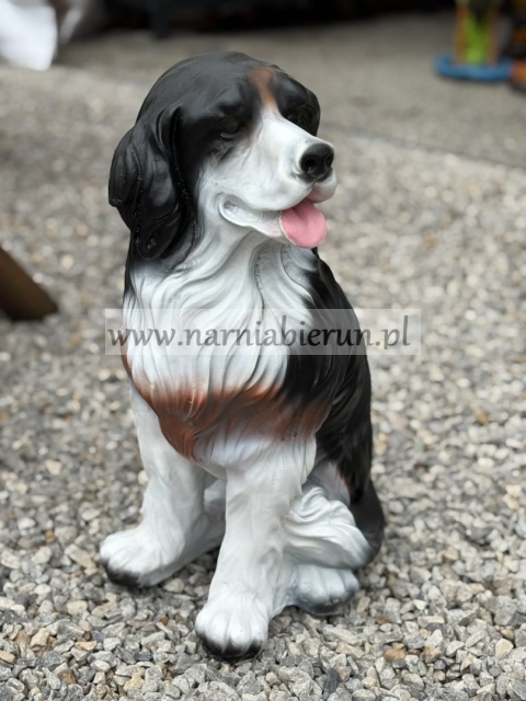 Figurka z żywicy Pies górski bernejczyk bernejski 52 cm.