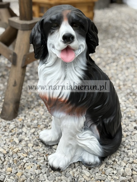 Figurka z żywicy Pies górski bernejczyk bernejski 52 cm.