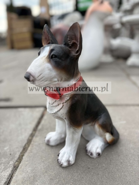 Figurka z żywicy Pies Piesek Bulterier 36 cm