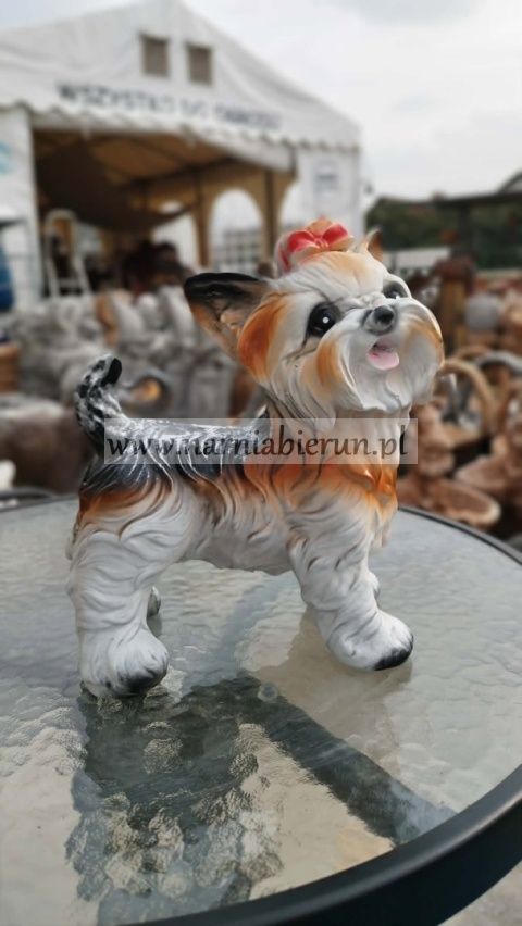 Figurka z żywicy Pies Piesek York 25 Jork stojący 27 cm.
