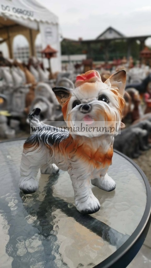 Figurka z żywicy Pies Piesek York 25 Jork stojący 27 cm.