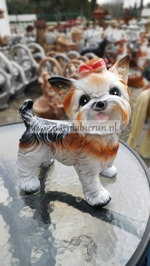 Figurka z żywicy Pies Piesek York 25 Jork stojący 27 cm.