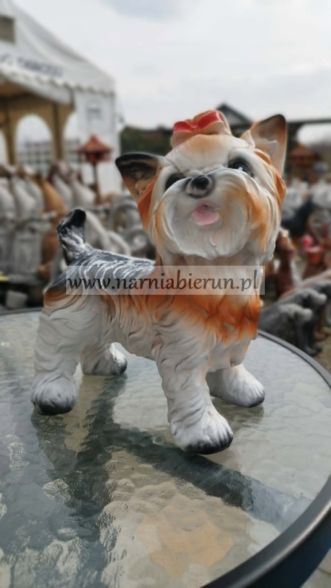 Figurka z żywicy Pies Piesek York 25 Jork stojący 27 cm.