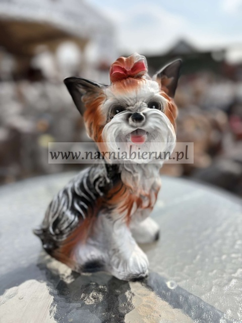 Figurka z żywicy Pies Piesek York 25 Jork siedzący 25 cm.
