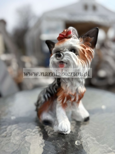 Figurka z żywicy Pies Piesek York 25 Jork siedzący 25 cm.