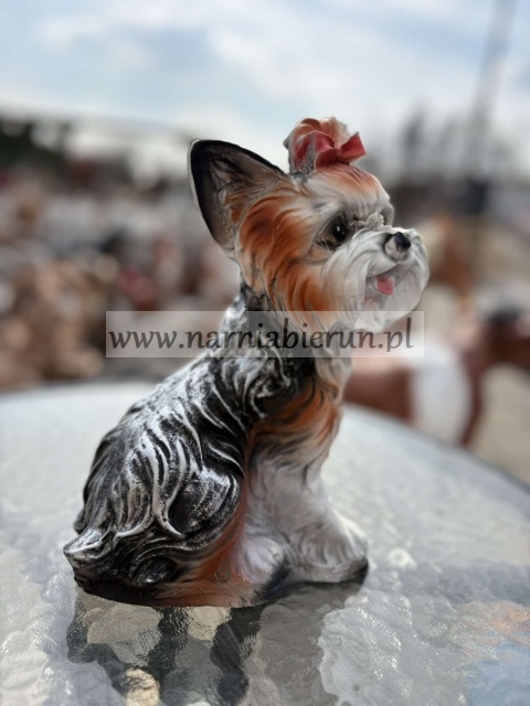 Figurka z żywicy Pies Piesek York 25 Jork siedzący 25 cm.