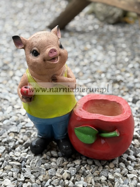 Figurka z żywicy Świnia Prosię Świnka z jabłkiem donicą donica 28 cm