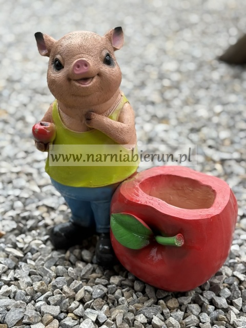 Figurka z żywicy Świnia Prosię Świnka z jabłkiem donicą donica 28 cm