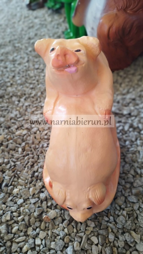 Figurka z żywicy Świnia Prosię Świnki tańczące 40 cm