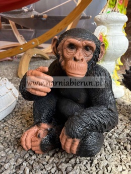 Figurka z żywicy Szympans Małpa małpka 38 cm