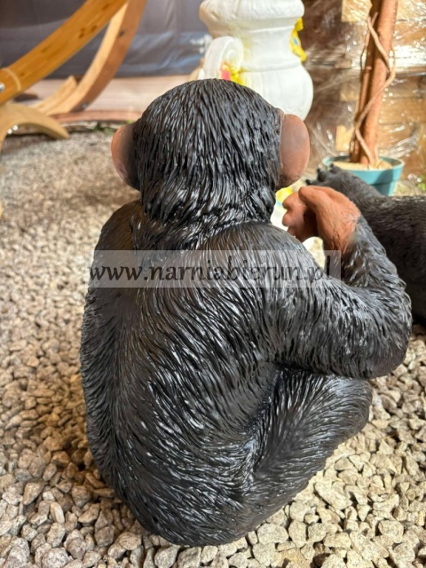 Figurka z żywicy Szympans Małpa małpka 38 cm