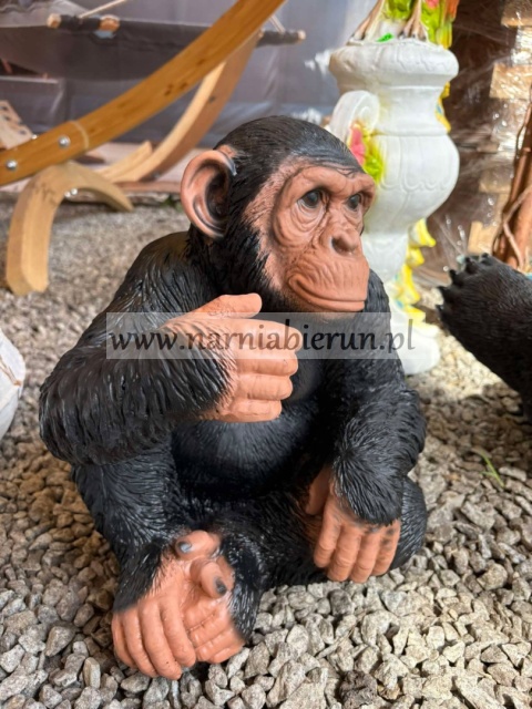 Figurka z żywicy Szympans Małpa małpka 38 cm