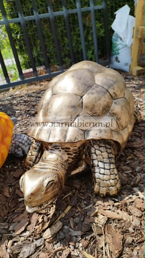 Figurka z żywicy Żółw gigant 3 kolory 100 cm