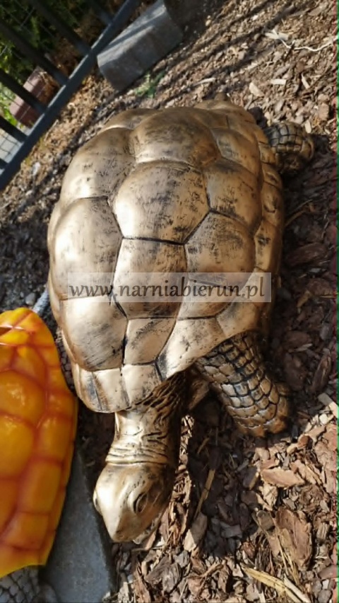 Figurka z żywicy Żółw gigant 3 kolory 100 cm