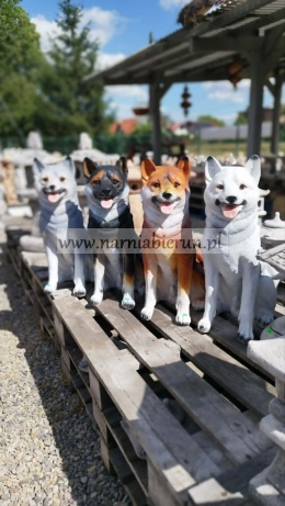 Figurka z żywicy pies hachi akita 57 cm biały brązowy rudy czarny szary
