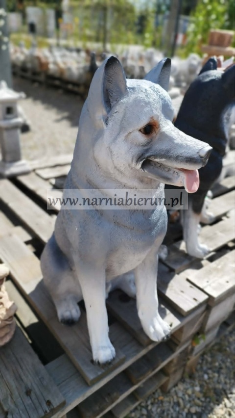 Figurka z żywicy pies hachi akita 57 cm biały brązowy rudy czarny szary