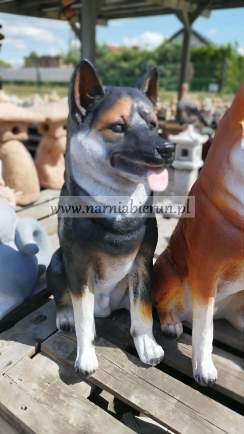 Figurka z żywicy pies hachi akita 57 cm biały brązowy rudy czarny szary