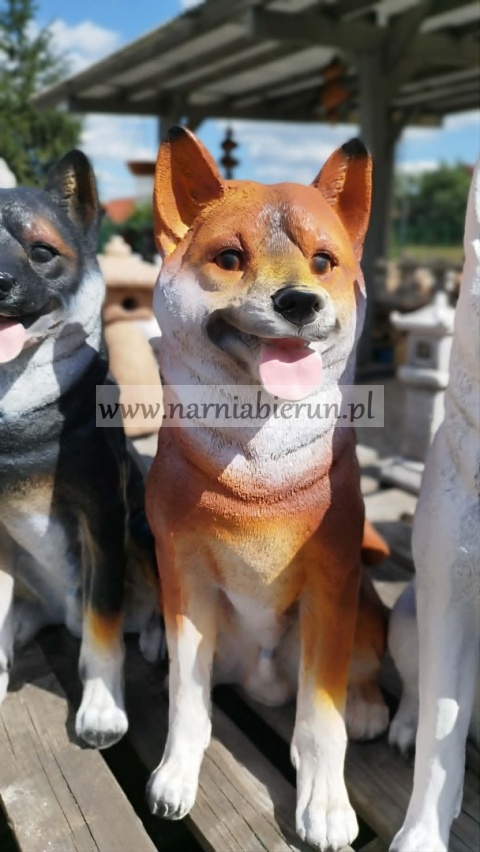 Figurka z żywicy pies hachi akita 57 cm biały brązowy rudy czarny szary