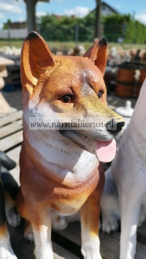 Figurka z żywicy pies hachi akita 57 cm biały brązowy rudy czarny szary