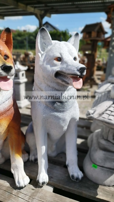Figurka z żywicy pies hachi akita 57 cm biały brązowy rudy czarny szary