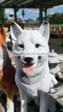 Figurka z żywicy pies hachi akita 57 cm biały brązowy rudy czarny szary