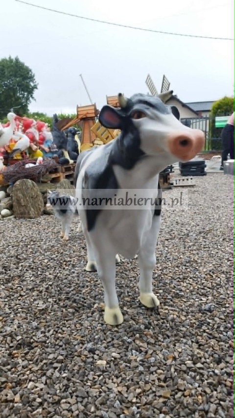 Figurka z żywicy KROWA BRĄZOWO BIAŁA 104 cm