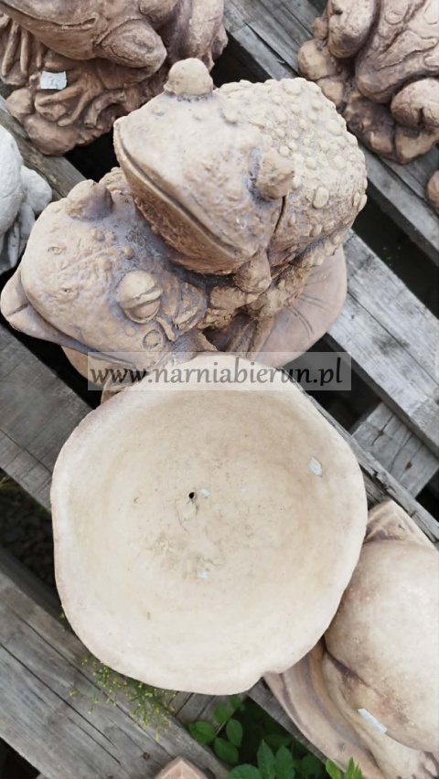 Figurka ogrodowa betonowa DONICA ŻABA Z DONICĄ 40 cm.