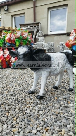 Figurka z żywicy Krowa czarna czarna cielę 60cm