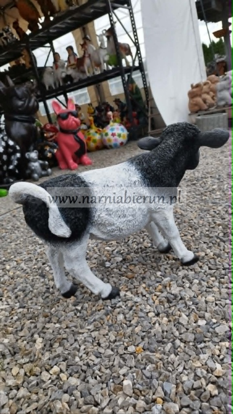 Figurka z żywicy Krowa czarna czarna cielę 60cm