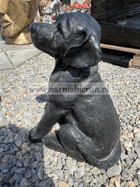 Figurka z żywicy Labrador mały pies czarny 35 cm.