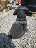 Figurka z żywicy Labrador mały pies czarny 35 cm.