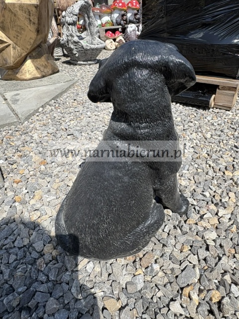 Figurka z żywicy Labrador mały pies czarny 35 cm.
