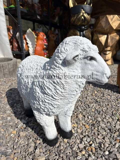 Figurka z żywicy Owca owieczka 55 cm.