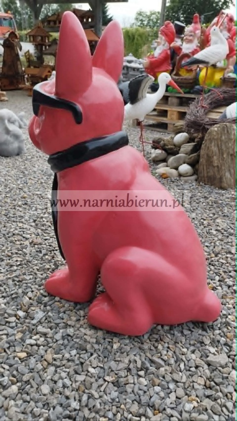 Figurka z żywicy Pies Buldog w okularach francuski duży czarny czerwony biały różowy 77 cm