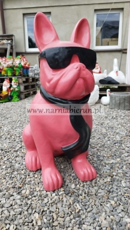 Figurka z żywicy Pies Buldog w okularach francuski duży czarny czerwony biały różowy 77 cm