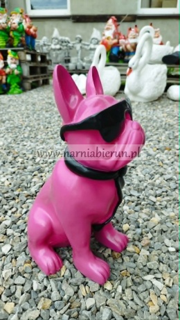 Figurka z żywicy Pies Buldog w okularach francuski biały różowy 35cm