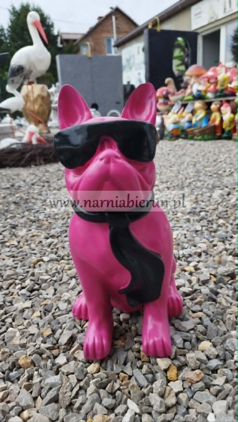 Figurka z żywicy Pies Buldog w okularach francuski biały różowy 35cm