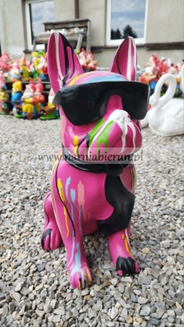 Figurka z żywicy Pies Buldog w okularach francuski średni 57 cm