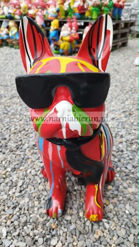 Figurka z żywicy Pies Buldog w okularach francuski średni 57 cm