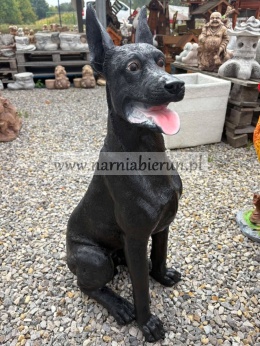 Figurka z żywicy Pies DOBERMAN czarny 75 cm