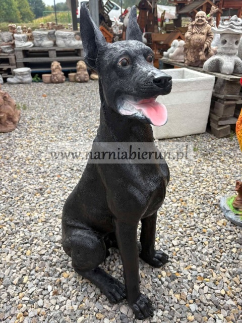 Figurka z żywicy Pies DOBERMAN czarny 75 cm